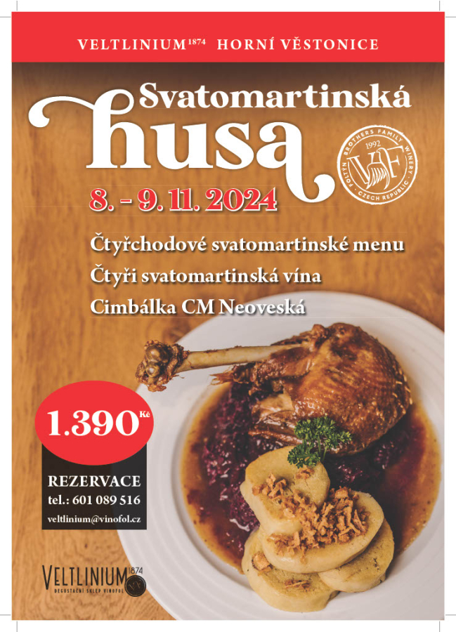 SVATOMARTINSKÁ HUSA